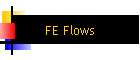 FE Flows