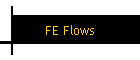 FE Flows